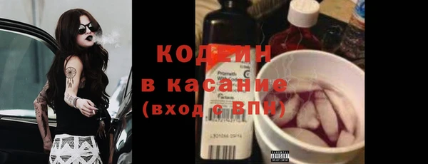 индика Абаза