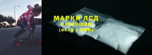 стаф Михайлов