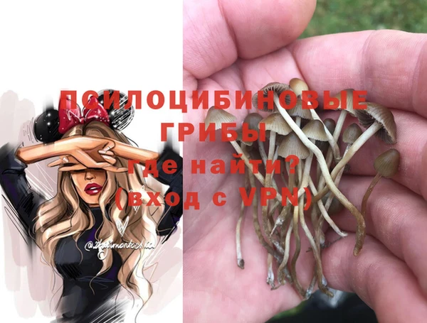 таблы Алзамай